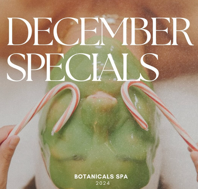 Young & Bloom Skin Spa - Spa Updates - December 2024