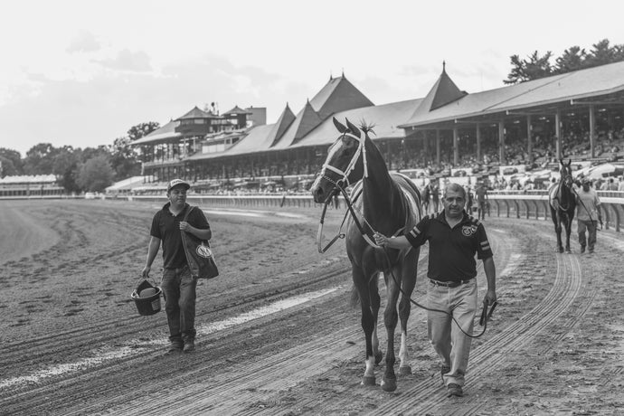 Things to Do in Saratoga Springs During Track Season: Races, Relaxation, & More